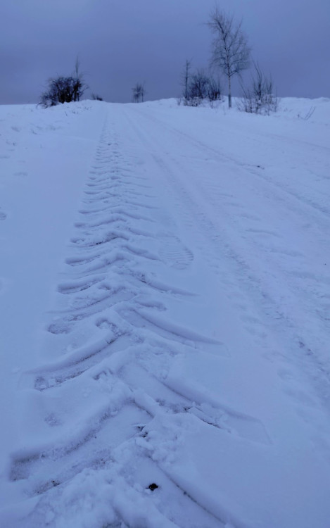 Zimní krajina u Pavlova