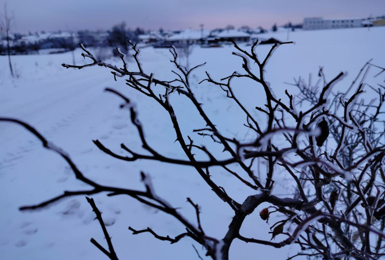 Zimní krajina u Pavlova