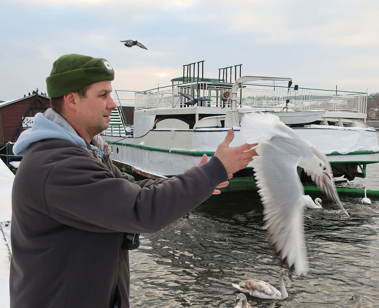 FOTOGALERIE: Monitoring vodního ptactva na Vltavě v Praze
