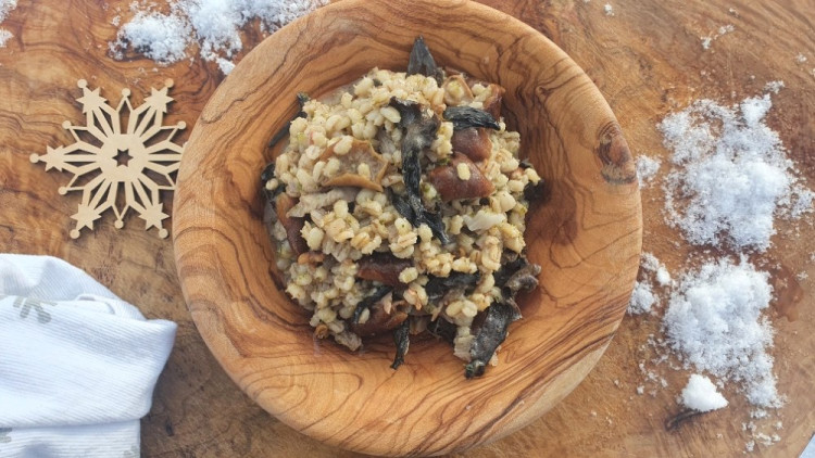 FOTOGALERIE: Šumavská houbička