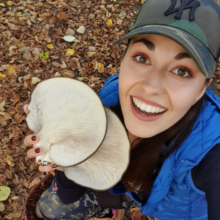 FOTOGALERIE: Šumavská houbička