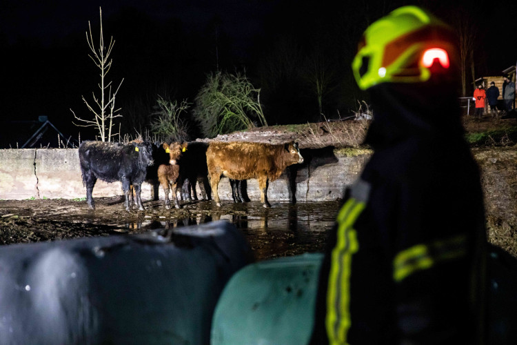 GALERIE: Na Trutnovsku zachvátil požár stáje. Uhynulo asi 150 krav