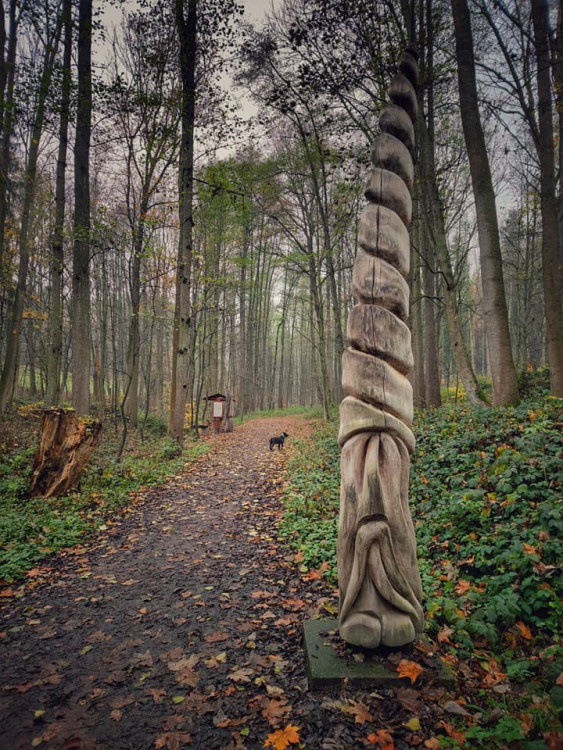 FOTOGALERIE: Okruh okolo Šumperka plný zajímavých míst