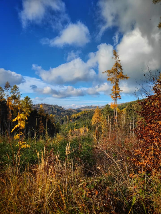 FOTOGALERIE: Okruh okolo Šumperka plný zajímavých míst