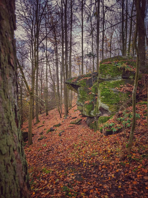 FOTOGALERIE: Okruh okolo Šumperka plný zajímavých míst