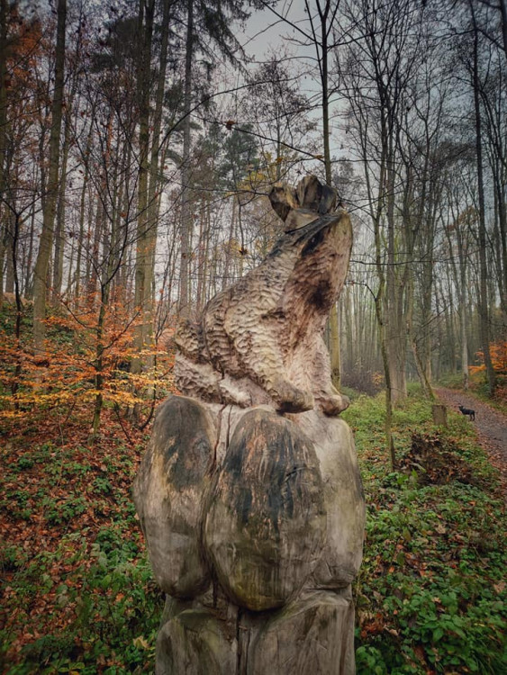 FOTOGALERIE: Okruh okolo Šumperka plný zajímavých míst