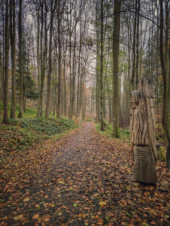 FOTOGALERIE: Okruh okolo Šumperka plný zajímavých míst