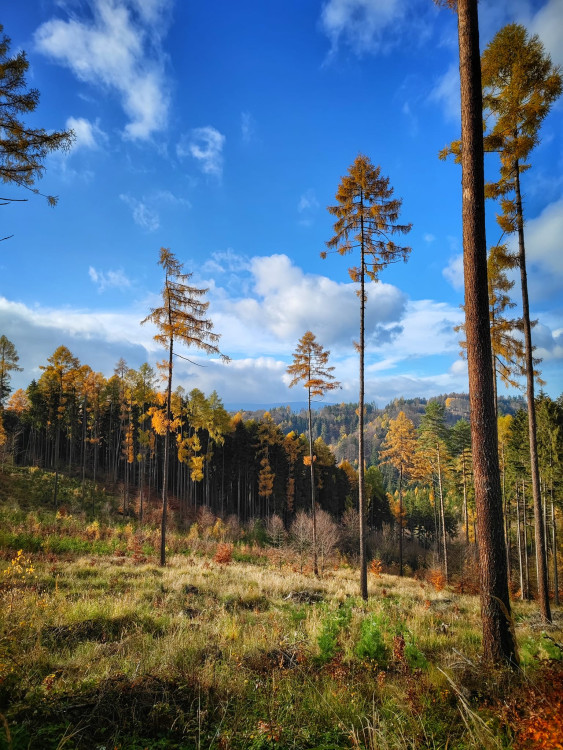 FOTOGALERIE: Okruh okolo Šumperka plný zajímavých míst