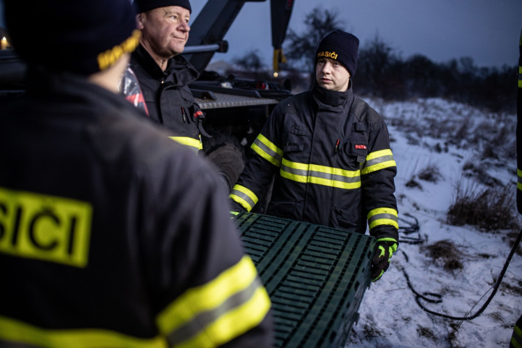 GALERIE: Likvidace chovu v Dobřenicích u Hradce Králové