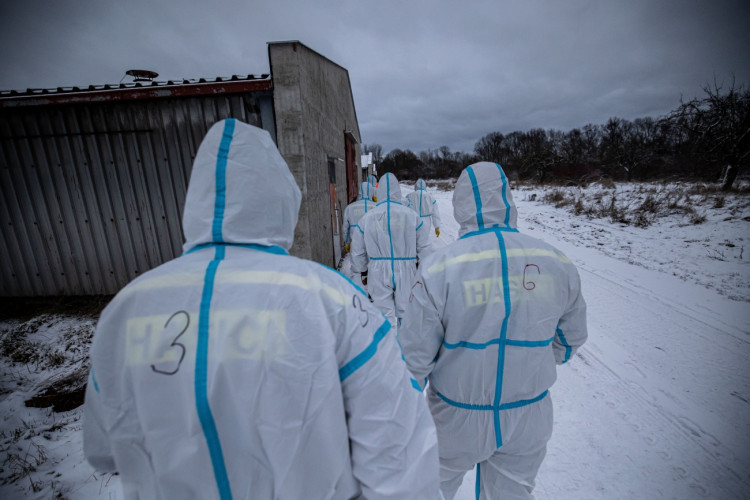 GALERIE: Likvidace chovu v Dobřenicích u Hradce Králové