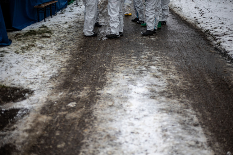 GALERIE: Likvidace chovu v Dobřenicích u Hradce Králové