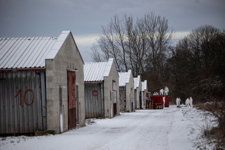 GALERIE: Likvidace chovu v Dobřenicích u Hradce Králové