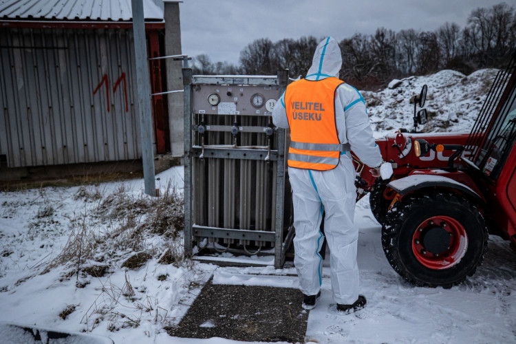 GALERIE: Likvidace chovu v Dobřenicích u Hradce Králové