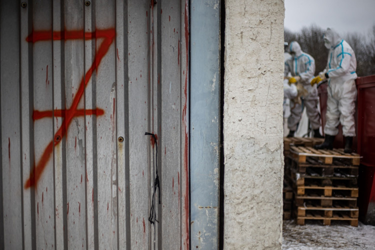 GALERIE: Likvidace chovu v Dobřenicích u Hradce Králové