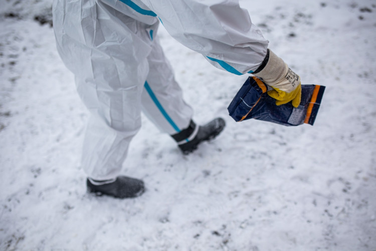 GALERIE: Likvidace chovu v Dobřenicích u Hradce Králové