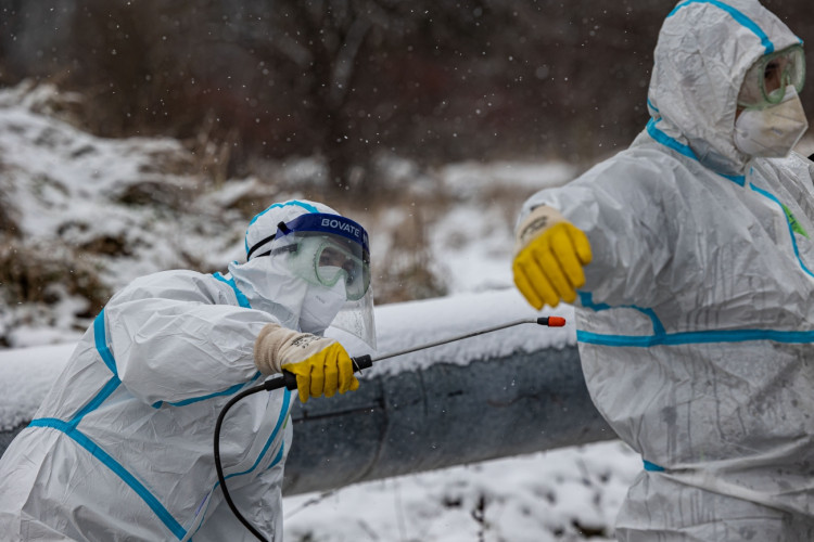 GALERIE: Likvidace chovu v Dobřenicích u Hradce Králové