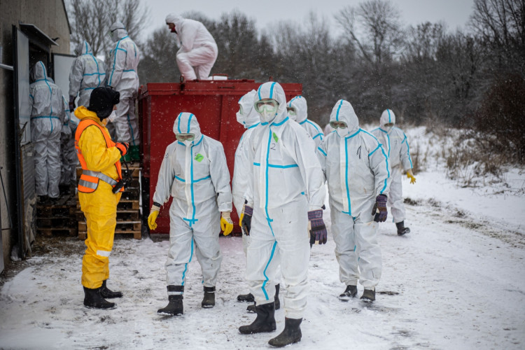 GALERIE: Likvidace chovu v Dobřenicích u Hradce Králové