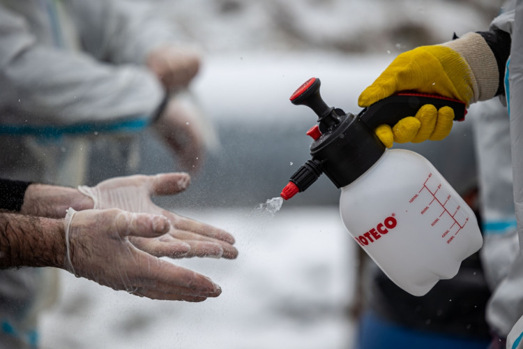 GALERIE: Likvidace chovu v Dobřenicích u Hradce Králové