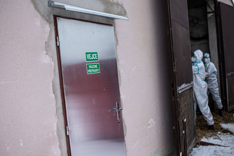 GALERIE: Likvidace chovu v Dobřenicích u Hradce Králové