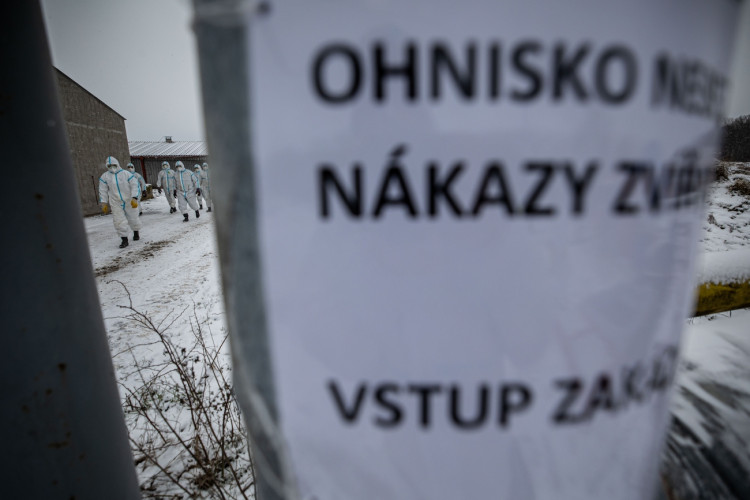 GALERIE: Likvidace chovu v Dobřenicích u Hradce Králové