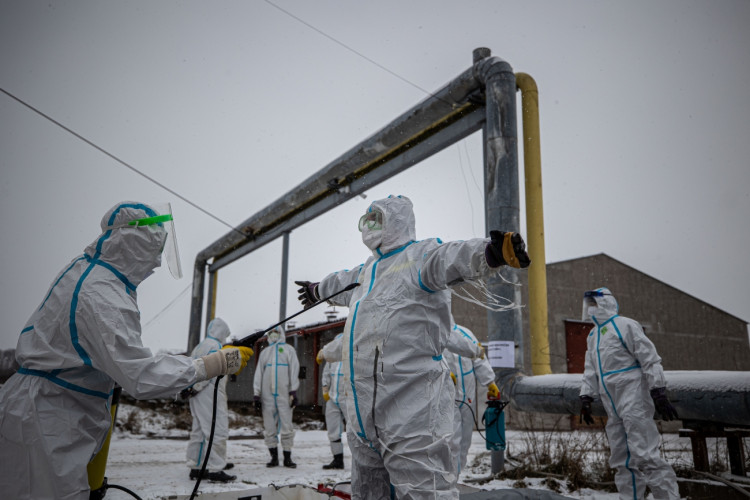 GALERIE: Likvidace chovu v Dobřenicích u Hradce Králové