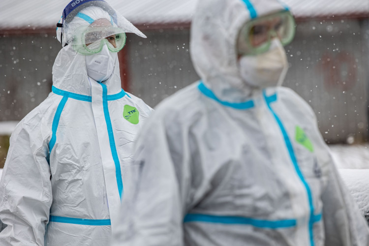 GALERIE: Likvidace chovu v Dobřenicích u Hradce Králové