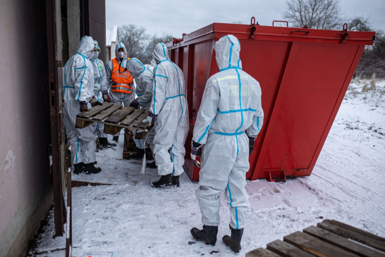 GALERIE: Likvidace chovu v Dobřenicích u Hradce Králové