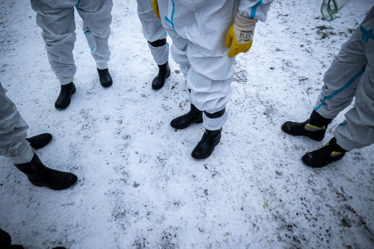 GALERIE: Likvidace chovu v Dobřenicích u Hradce Králové