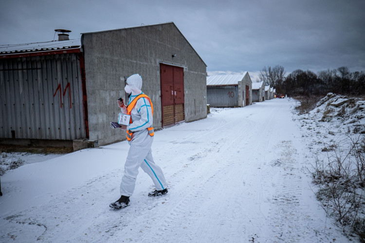 GALERIE: Likvidace chovu v Dobřenicích u Hradce Králové