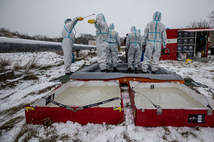 GALERIE: Likvidace chovu v Dobřenicích u Hradce Králové