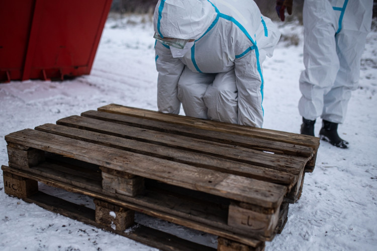 GALERIE: Likvidace chovu v Dobřenicích u Hradce Králové