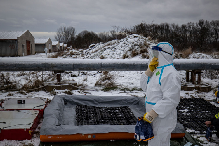 GALERIE: Likvidace chovu v Dobřenicích u Hradce Králové