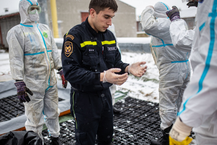 GALERIE: Likvidace chovu v Dobřenicích u Hradce Králové