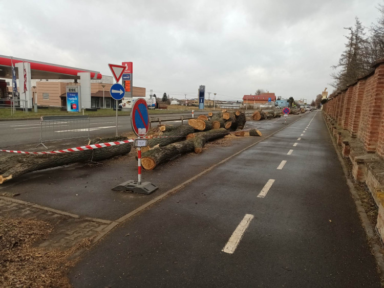 FOTOGALERIE: Před prostějovským hřbitovem šlo k zemi pět topolů