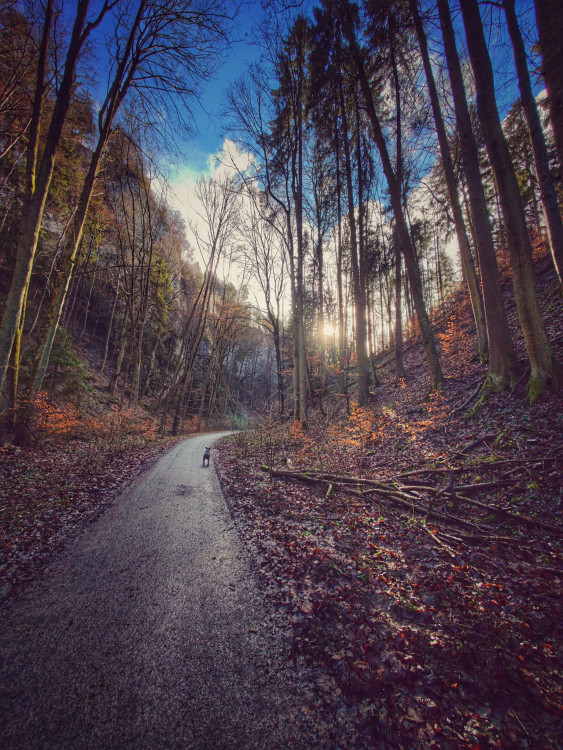 FOTOGALERIE: Čtrnáctikilometrový okruh okolo Macochy plný překvapení