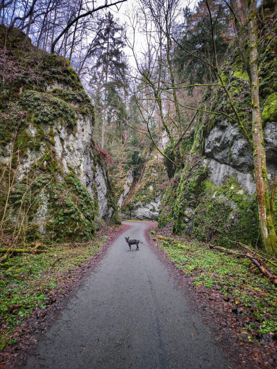 FOTOGALERIE: Čtrnáctikilometrový okruh okolo Macochy plný překvapení