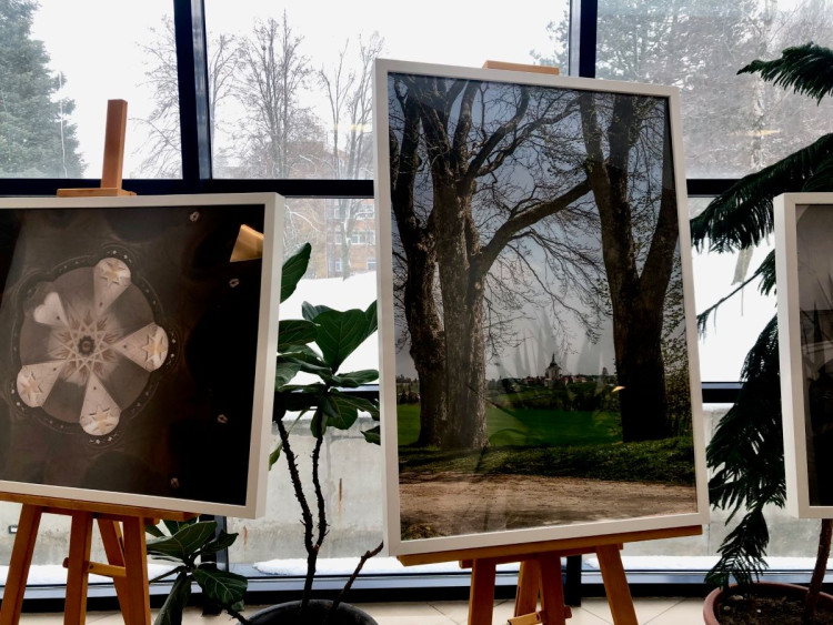 Zelená hora na prodej