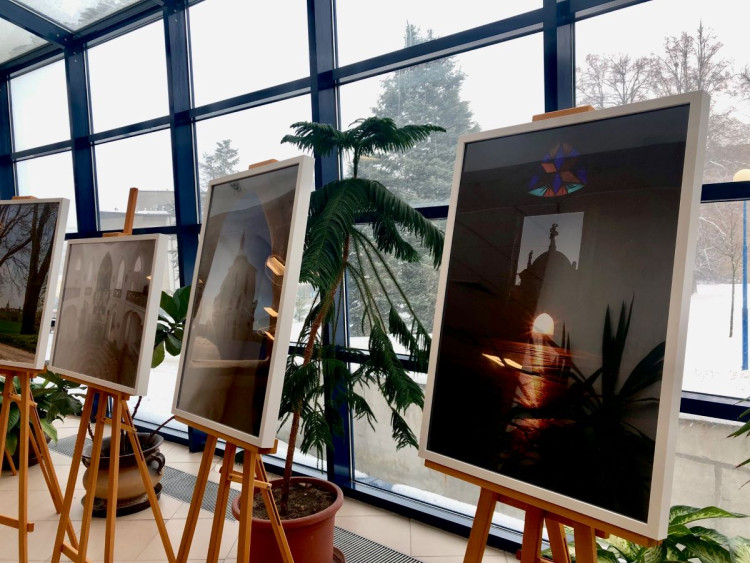 Zelená hora na prodej