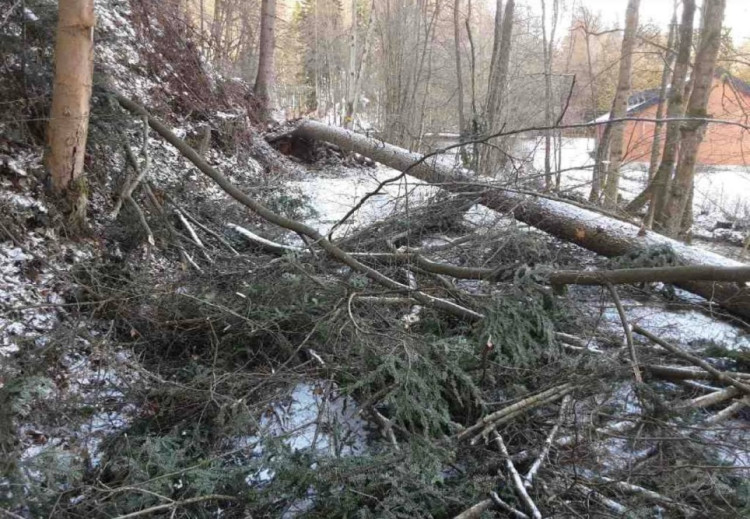 FOTOGALERIE: Hasiče zaměstnaly desítky komplikací způsobených silným větrem