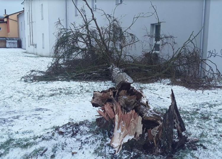 FOTOGALERIE: Hasiče zaměstnaly desítky komplikací způsobených silným větrem