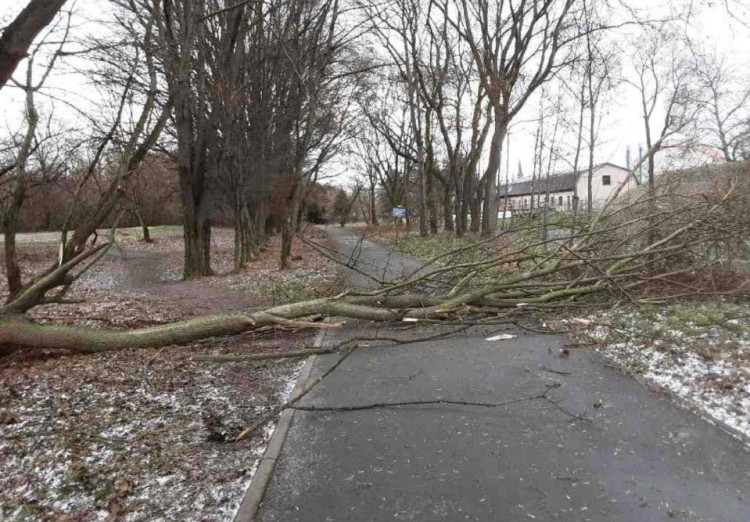 FOTOGALERIE: Hasiče zaměstnaly desítky komplikací způsobených silným větrem
