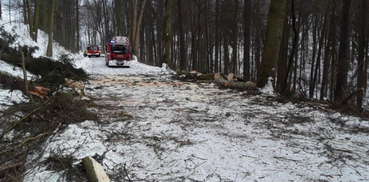 FOTOGALERIE: Hasiče zaměstnaly desítky komplikací způsobených silným větrem