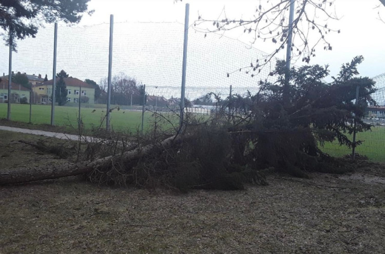 FOTOGALERIE: Hasiče zaměstnaly desítky komplikací způsobených silným větrem