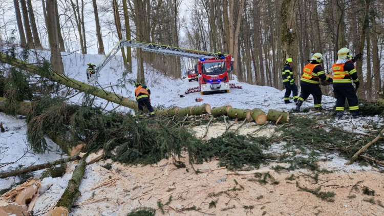 FOTOGALERIE: Silný vítr zaměstnal hasiče v kraji, od noci jsou v plném zápřahu