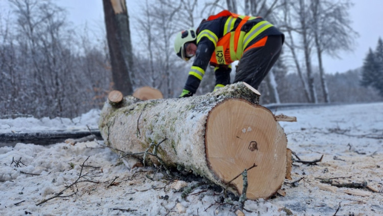 FOTOGALERIE: Silný vítr zaměstnal hasiče v kraji, od noci jsou v plném zápřahu