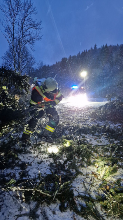 FOTOGALERIE: Silný vítr zaměstnal hasiče v kraji, od noci jsou v plném zápřahu