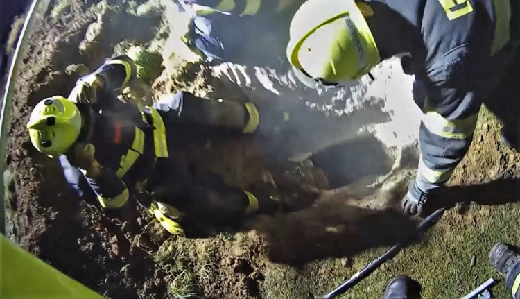 FOTOGALERIE: Záchrana fenky Kiry