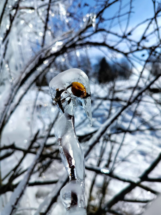 Krápníky z Jihlavska