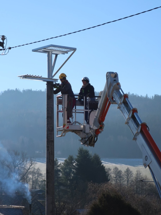 FOTOGALERIE: Instalace nového čapího hnízda v Dešenicích