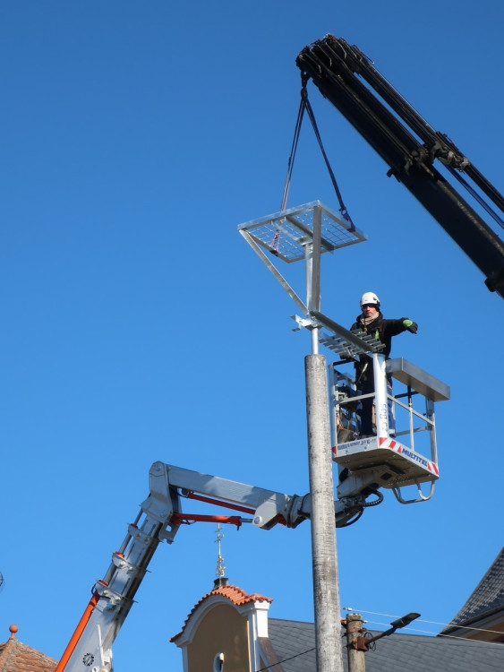 FOTOGALERIE: Instalace nového čapího hnízda v Dešenicích